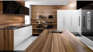 Ultra-Modern-Kitchen-Designs-from-Tecnocucina-3