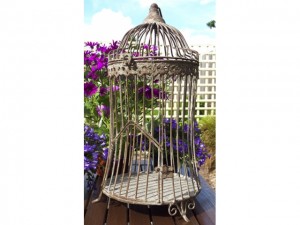 bird cage display 3-640x480