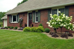 landscaping-pictures-for-front-of-house