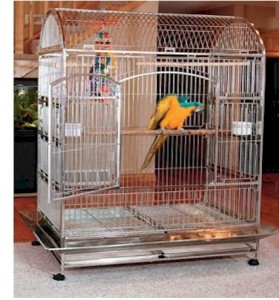 stainless-steel-featherland-bird-cage