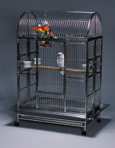 stainless_steel_bird_cage