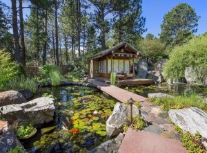 Asian-inspired-landscape-with-an-amazing-natural-koi-pond