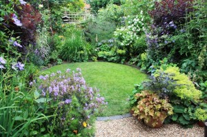 Circular Lawn and planting (5)-qpr