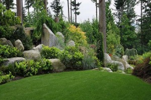 Ideas-For-Landscaping-With-Rock