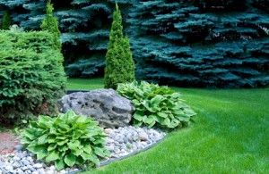 Landscaping_With_Natural_Rock_9939336_460