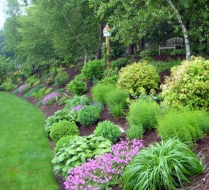 backyard-hill-landscaping-ideas