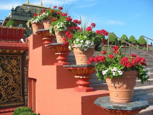 container-pots-steps