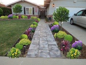 front-yard-landscaping8