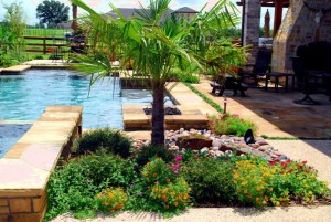 landscaping-with-rocks-and-palm