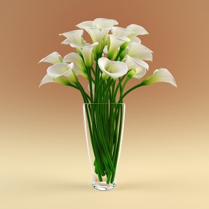 Calla flower_vase 4_1.jpg953b6c78-db4a-4674-9a74-ec39ca434fe7Large