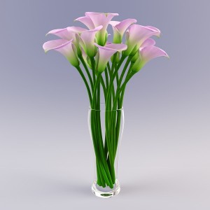 Calla flower_vase.RGB_color.0035.jpg9d011e8b-021b-46c2-9a54-6f3e9dde393cLarge