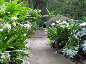 Hiking-Tropical-Gardens-Of-Maui-1200x895