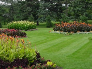 Lawn-landscape-care-and-maintenance
