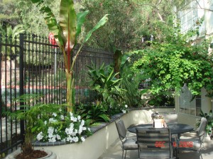 Minimalist-Small-Tropical-Garden-Design-1024x768