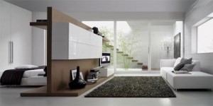 Modern-Living-Room-Layout-Wall-Divider