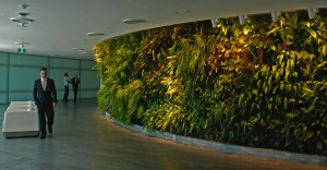 Office-interior-vertical-garden