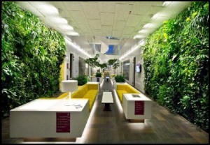 Simple-natural-office-design-with-vertical-garden-design (1)