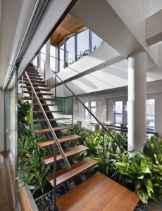 Stunning-garden-design-under-stair