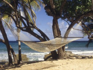 alison-jones-hammock-tied-between-trees-north-shore-beach-st-croix-us-virgin-islands