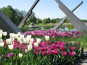 britzer_garden_tulips_600x