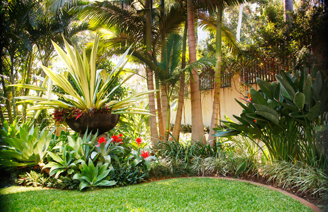 Luxury tropical garden | http://lomets.com
