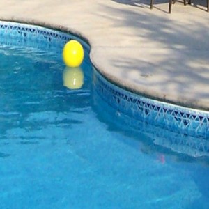 curved edge swimming pool