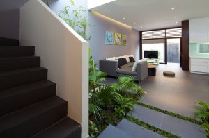 go-vap-modern-house-indoor-garden-in-the-kitchen