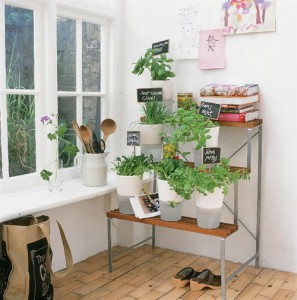 indoor-gardening3