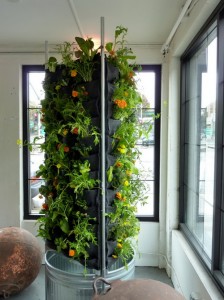 indoor-vertical-gardening