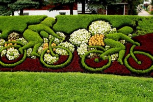 landscape-design-plans-bush-hedge-cyclists-Uncle-Paul-T-designs