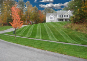 lawn-service-kennesaw-image