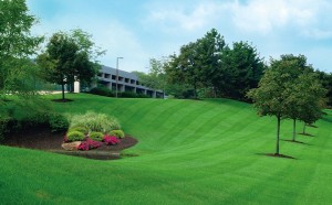 lawn-service-roswell-image