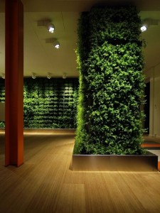nice-green-wall-garden-system-585x780