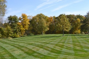 Fall-Mowing-Photo-2