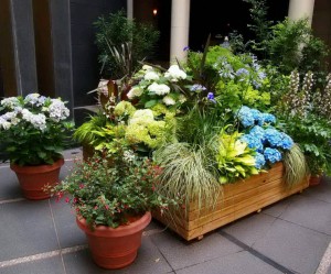 Flowers-in-pot-and-wood-box-for-small-backyard-view
