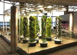 Many Tower Gardens-Ohare airport-sml