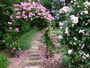 home-garden-trellis-flowers