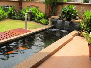 large-koi-fish-pond-design-with-waterfall-built-with-concrete-material-710x532