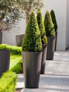 tall-cylinder-round-planter-pots
