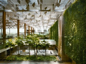 vertical-garden-and-green-wall-at-singapore-airport
