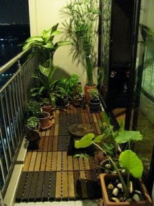Balcony-garden-002