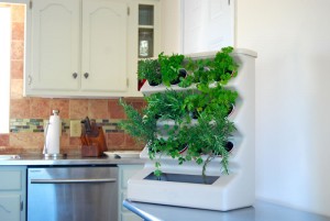 Indoor-Home-Vertical-Garden-Design-Ideas-Aria-Tabletop-Evo-Organic-Kitchen