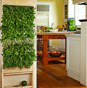 Interior-miniature-vertical-kitchen-garden