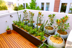 small-apartment-inspired-balcony-gardens-with-wooden-decks