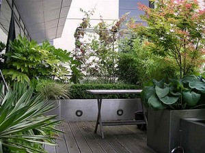 small-balcony-garden-ideas-photo