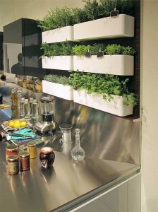 vertical-herb-garden-in-your-kitchen