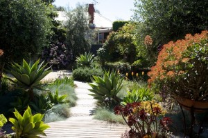 Beautiful-Contemporary-Garden-Design