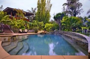 pool-spa-waterfall-stone-palm-trees-landscaping-network_4274