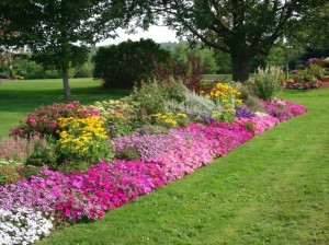 Flower-bed-ideas-for-your-garden-805x603