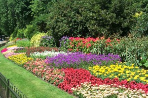 Flowers gardens designs ideas. (4)